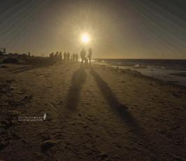 شاطىء البحر (18)