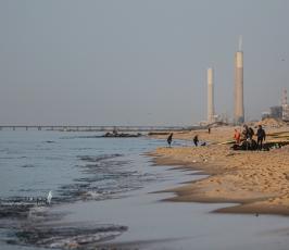 بحر غزة (1)