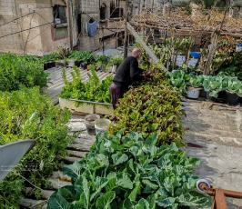 سطح منزل (7)