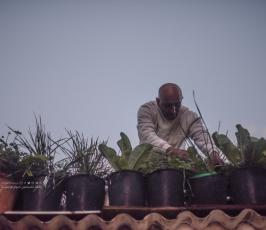سطح منزل (1)