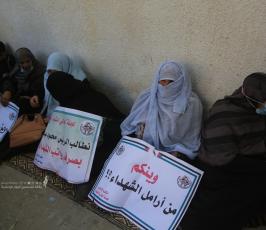 اعتصام اهالى شهداء عام 2014 (1)