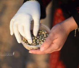 مزارعات 2 (6)