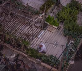 سطح منزل (5)