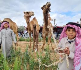 الهيئة الوطنية العليا لمسيرات العودة في قطاع غزة تحيي ذكرى يوم الأرض شرق ملكة (13)