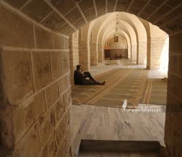 جلسات القرآن الكريم من المسجد العمرى الكبير بغزة فى اول يوم من شهر رمضان الكريم (2)