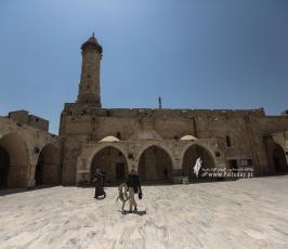 جلسات القرآن الكريم من المسجد العمرى الكبير بغزة فى اول يوم من شهر رمضان الكريم (13)