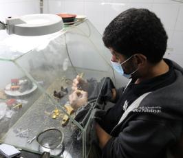 صناعة الذهب بغزة (1)