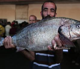 صيادين غزة (6)