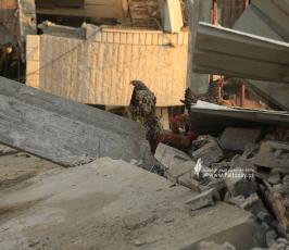 منازل المدمرة إثر القصف (21)