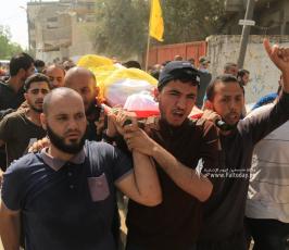 الشهيد الطفل حسين حمد (1)