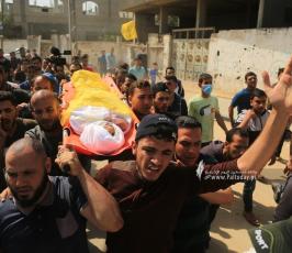 الشهيد الطفل حسين حمد (4)
