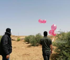 وحدة برق (1)