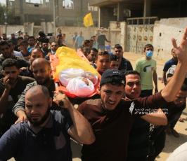 الشهيد الطفل حسين حمد (3)