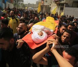 الشهيد الطفل حسين حمد (8)