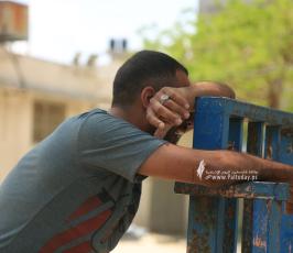 شهداء (3)