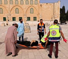 مواجهات عنيفة في المسجد الأقصى (11)
