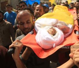 الشهيد الطفل حسين حمد (6)