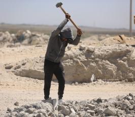 عمال _يوم العمال (3)