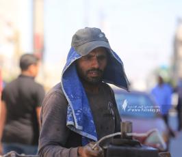 عمال مصريين بغزة (8)