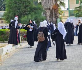 توجيهي (7)