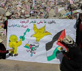 معرض صور (3)