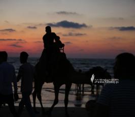 بحر دير البلح (11)