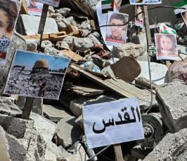 معرض صور (5)