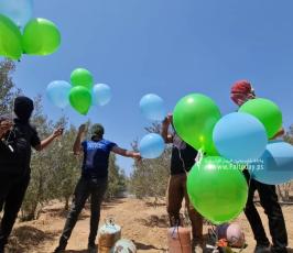 اطلاق بالونات (12)