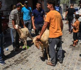 فرحة النجاح (9)
