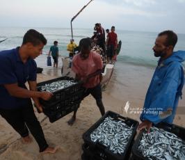 صيادون يعملون على شاطئ بحر  قطاع غزة (3)