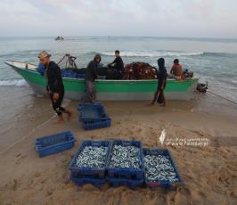 صيادون يعملون على شاطئ بحر  قطاع غزة (11)