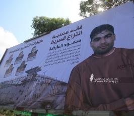مفترق السرايا (5)