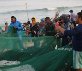 صيادون يعملون على شاطئ بحر  قطاع غزة (9)