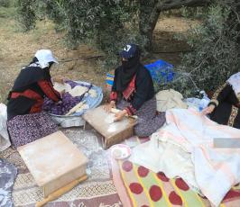 فلسطينيات يعددن الخبز على الصاج  خلال افتتاح موسم جني الزيتون بغزة (3)