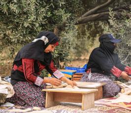 فلسطينيات يعددن الخبز على الصاج  خلال افتتاح موسم جني الزيتون بغزة (11)