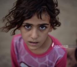 مياه الشرب (8)