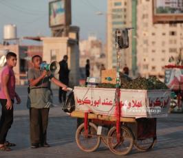 مشاهد من الحياة اليومية في غزة (6)