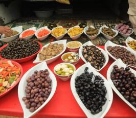 موسم الزيتون (2)