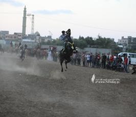  سباق للخيول والجمال وسط قطاع غزة (14)