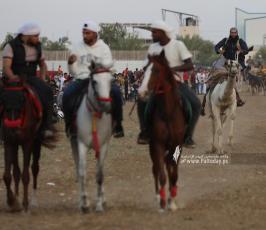  سباق للخيول والجمال وسط قطاع غزة (4)