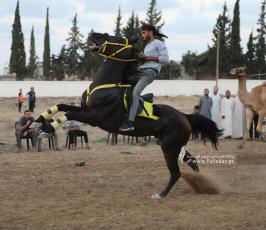  سباق للخيول والجمال وسط قطاع غزة (13)