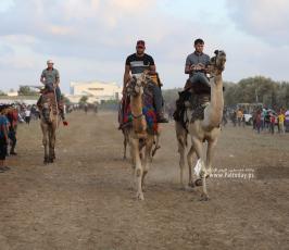  سباق للخيول والجمال وسط قطاع غزة (2)