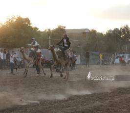 سباق للخيول والجمال وسط قطاع غزة (1)