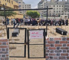 مقابر الارقام (6)