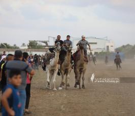  سباق للخيول والجمال وسط قطاع غزة (7)