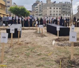 مقابر الارقام (1)