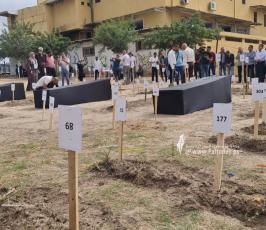 مقابر الارقام (7)