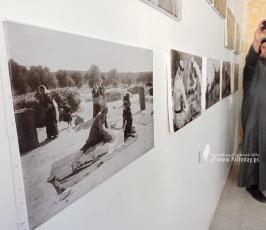 معرض صور (14)