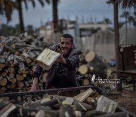 جمع الحطب  (25)
