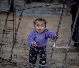 فقراء غزة (17)